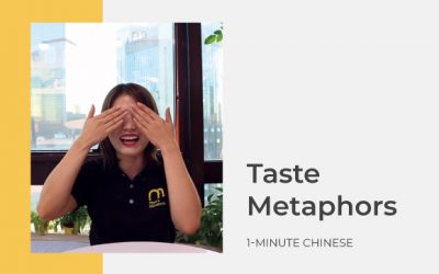 Chinese Flavor Metaphors to blow your mind 😋 🌶️