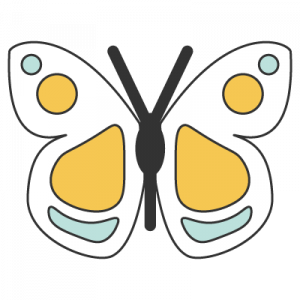 animal butterfly 蝴蝶 Húdié chinese nihaocafe animal butterfly 蝴蝶 Húdié chinese nihaocafe