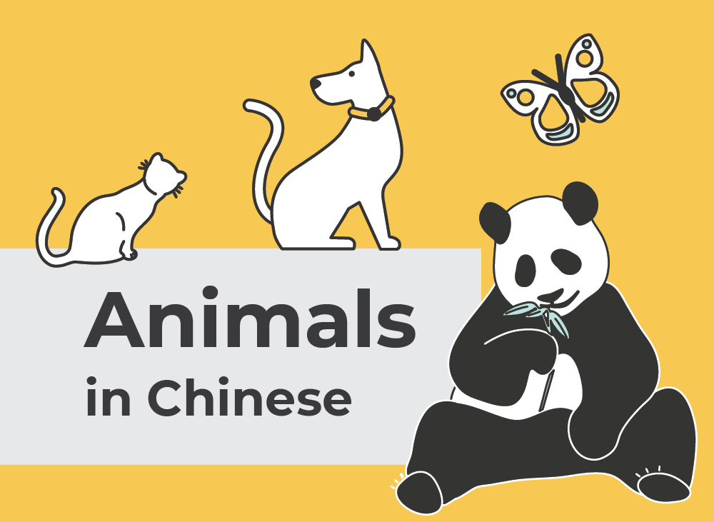 Animals in Chinese | Learn Chinese Vocabulary with NihaoCafe