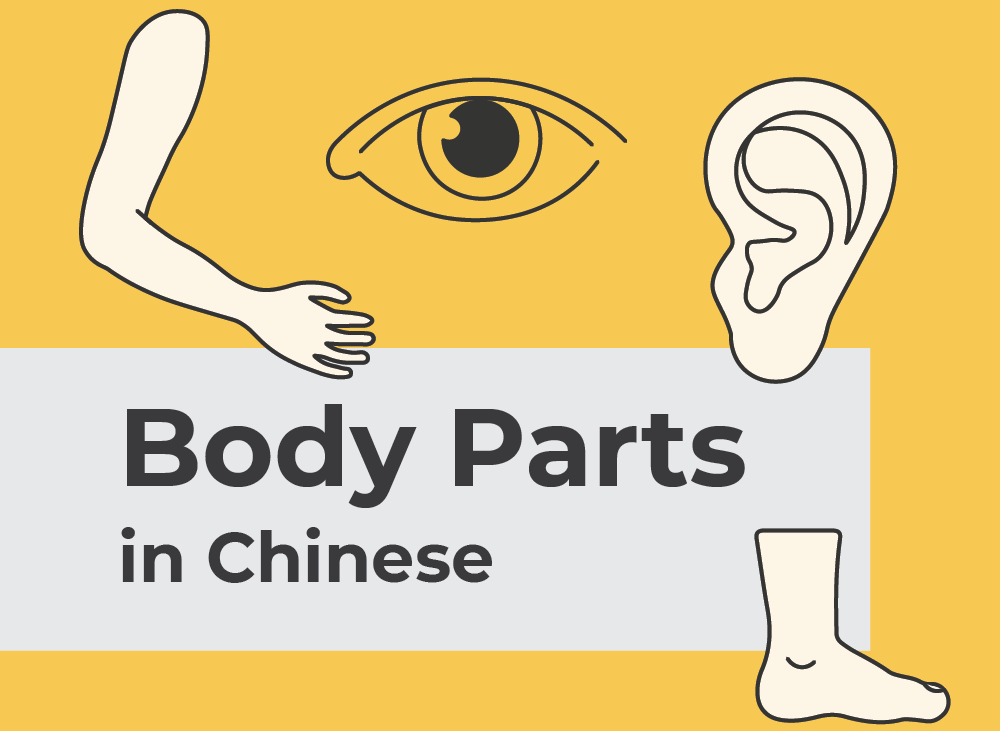 Body parts in Chinese | Learn Chinese Vocabulary with NihaoCafe