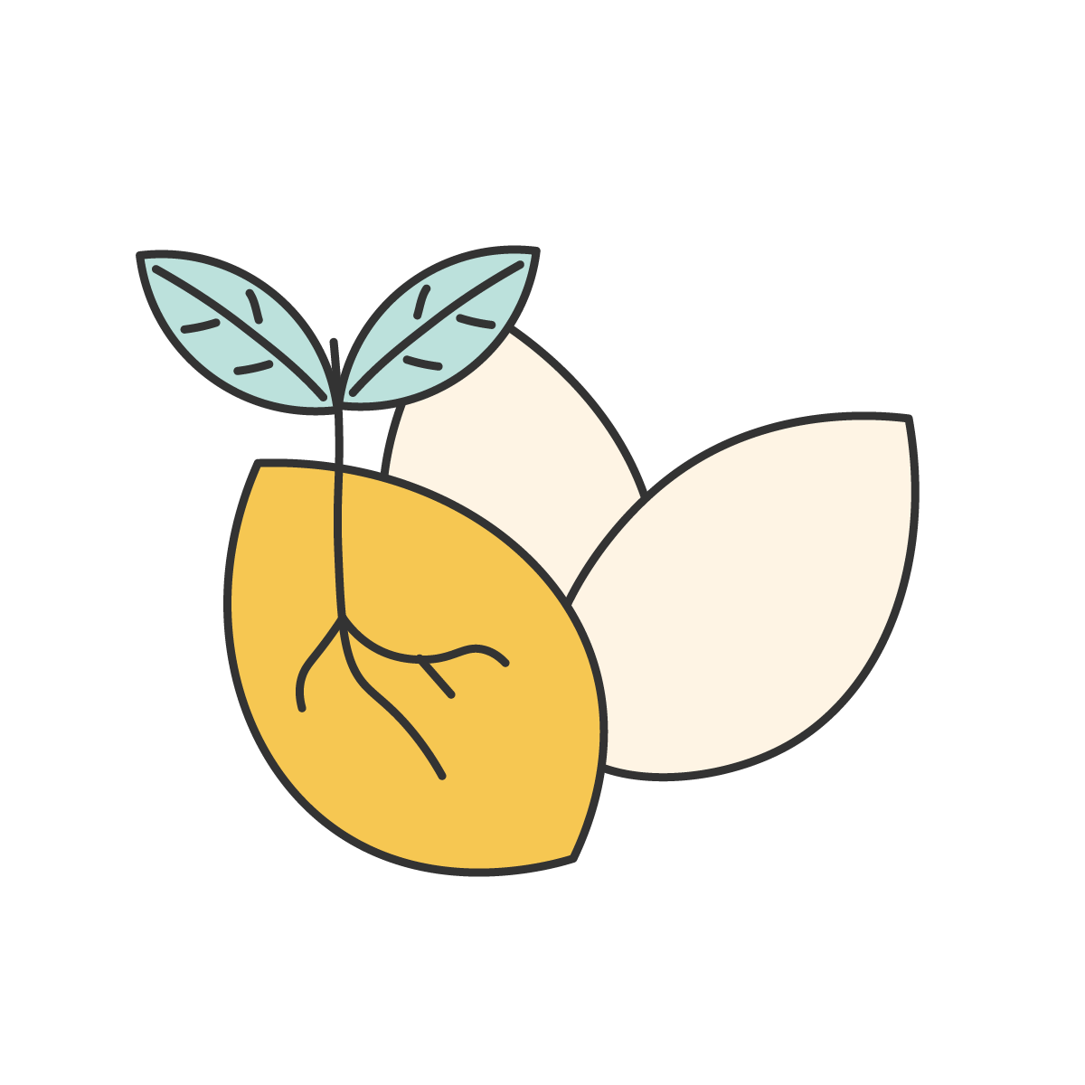 seeds 种子 | Learn Chinese words to describe plants with NihaoCafe seeds 种子 | Learn Chinese words to describe plants with NihaoCafe